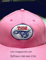 ҧҹѡǡѡҹ TSM ҹ Ѻѡǡ  093-632-6441