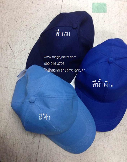 ٻҾ2 ͧԹ : Cap ǡ Ҵ տ ѡ logo 093-632-6441 Ѻѡǡ